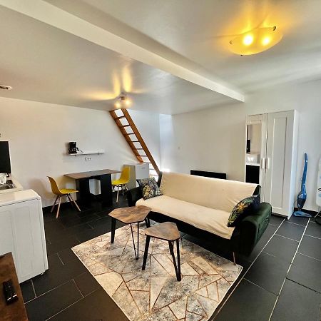 Studios Au Quartier Pavillonnaire Rue D Ambert 奥尔良 外观 照片