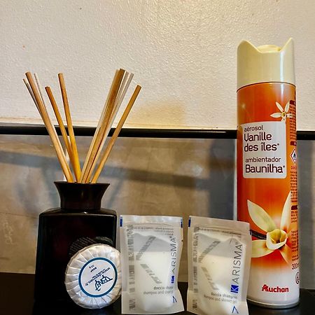 Studios Au Quartier Pavillonnaire Rue D Ambert 奥尔良 外观 照片