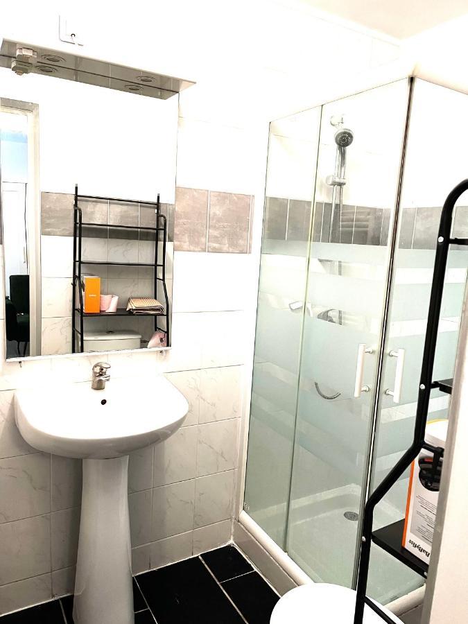 Studios Au Quartier Pavillonnaire Rue D Ambert 奥尔良 外观 照片