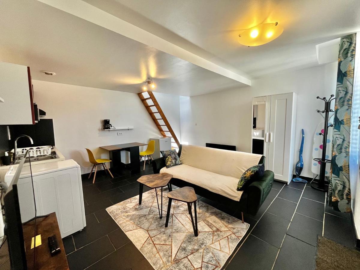 Studios Au Quartier Pavillonnaire Rue D Ambert 奥尔良 外观 照片