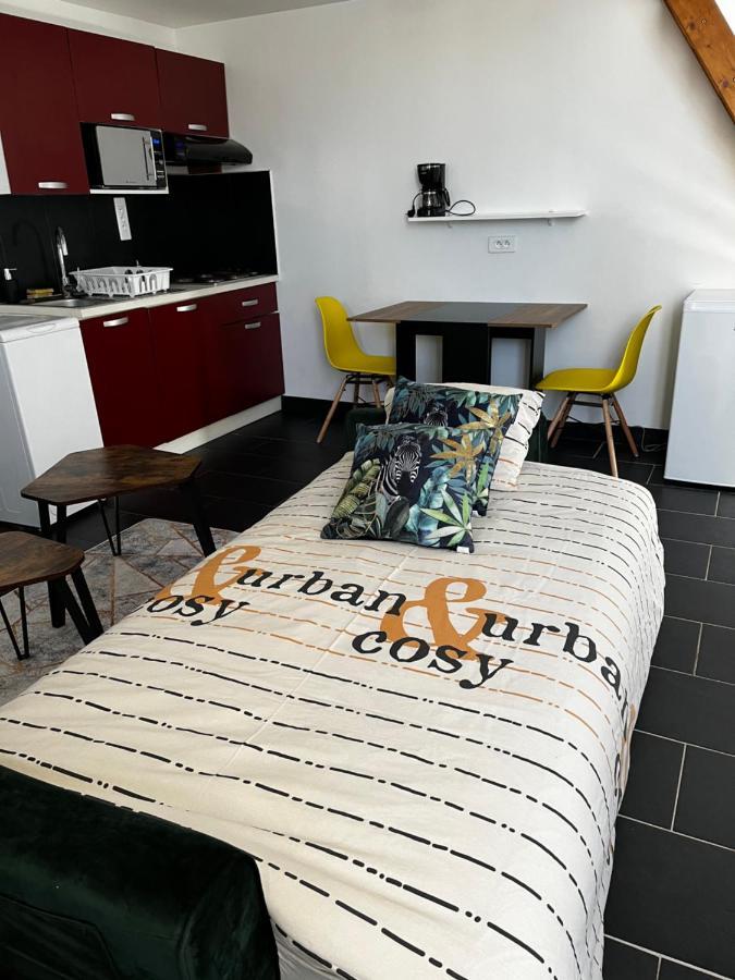 Studios Au Quartier Pavillonnaire Rue D Ambert 奥尔良 外观 照片